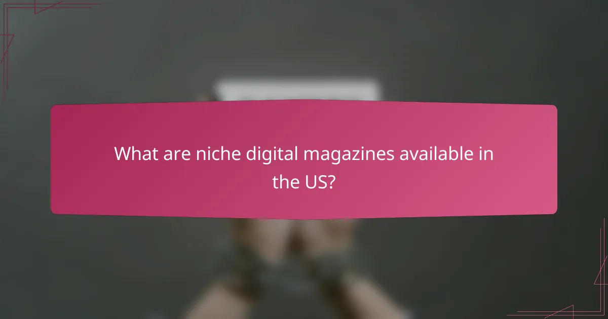 What are niche digital magazines available in the US?